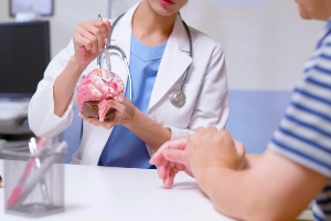 Doctor showing an area in the brain.