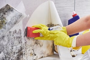 cleaning lead paint with gloves on